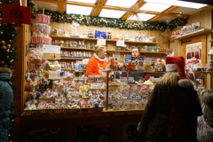 ドイツ・クリスマスマーケットの旅！24-105mmG