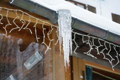 ドイツ・クリスマスマーケットの旅！24-105mmG