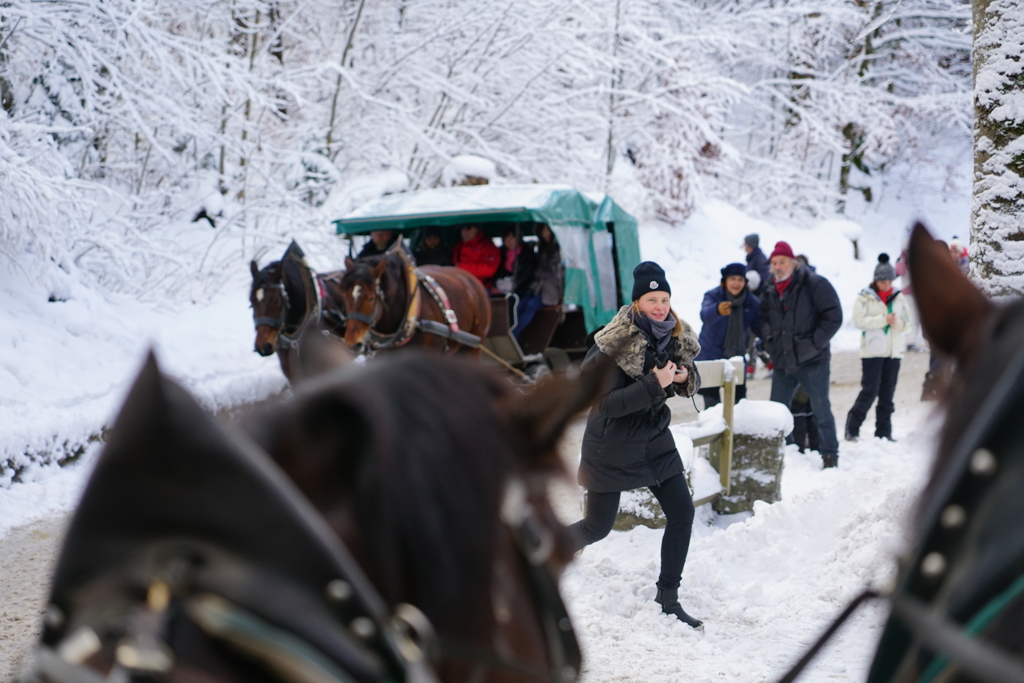 ドイツ・クリスマスマーケットの旅！24-105mmG