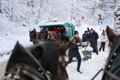 ドイツ・クリスマスマーケットの旅！24-105mmG