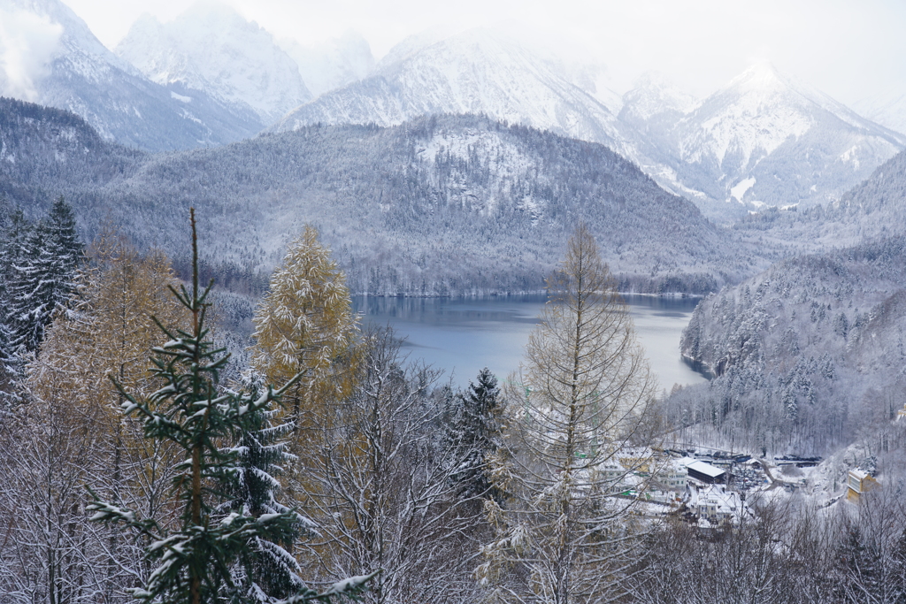 ドイツ・クリスマスマーケットの旅！24-105mmG