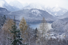 ドイツ・クリスマスマーケットの旅！24-105mmG