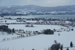 ドイツ・クリスマスマーケットの旅！24-105mmG