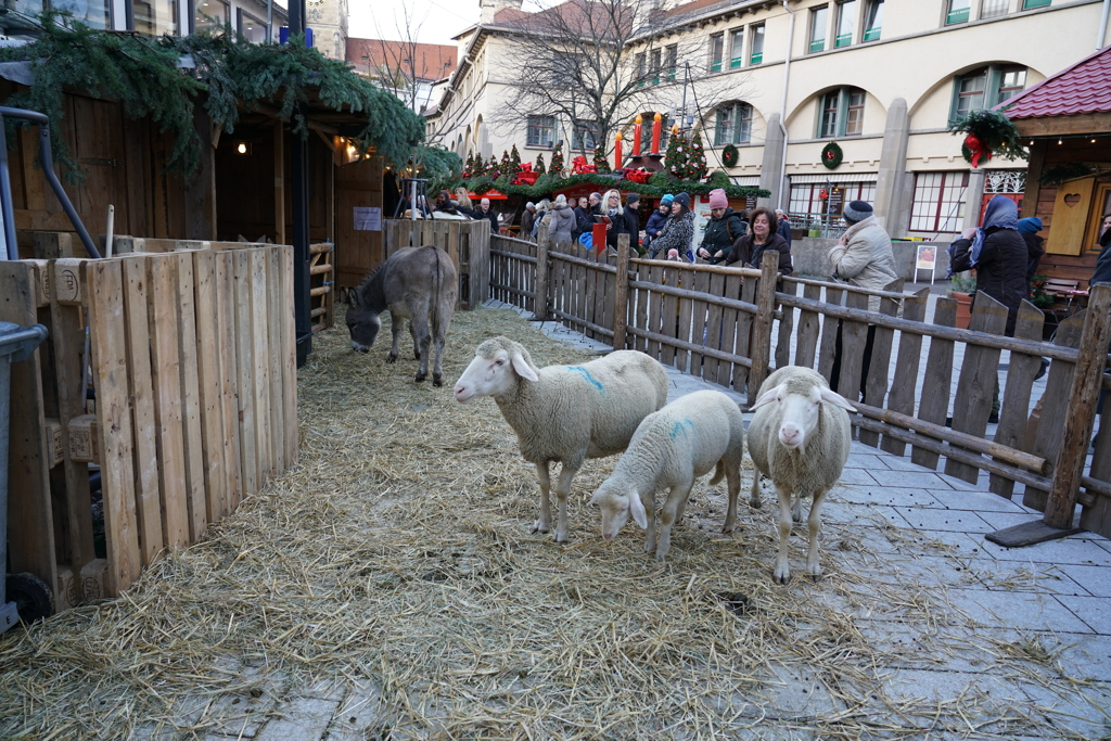ドイツ・クリスマスマーケットの旅！24-105mmG