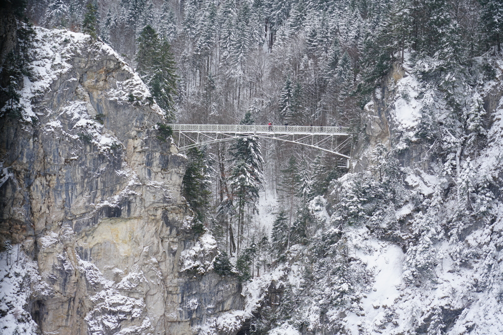 ドイツ・クリスマスマーケットの旅！24-105mmG