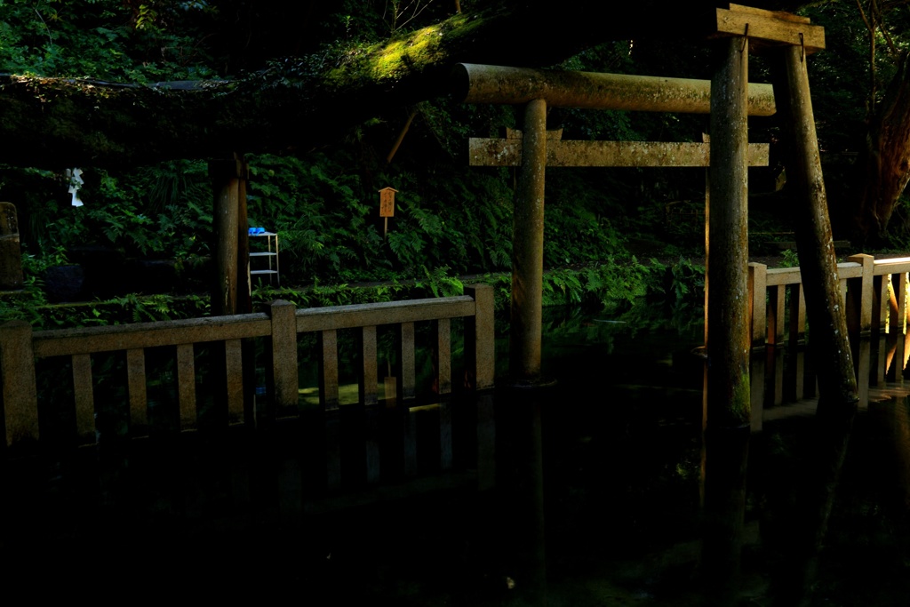 水の中の鳥居