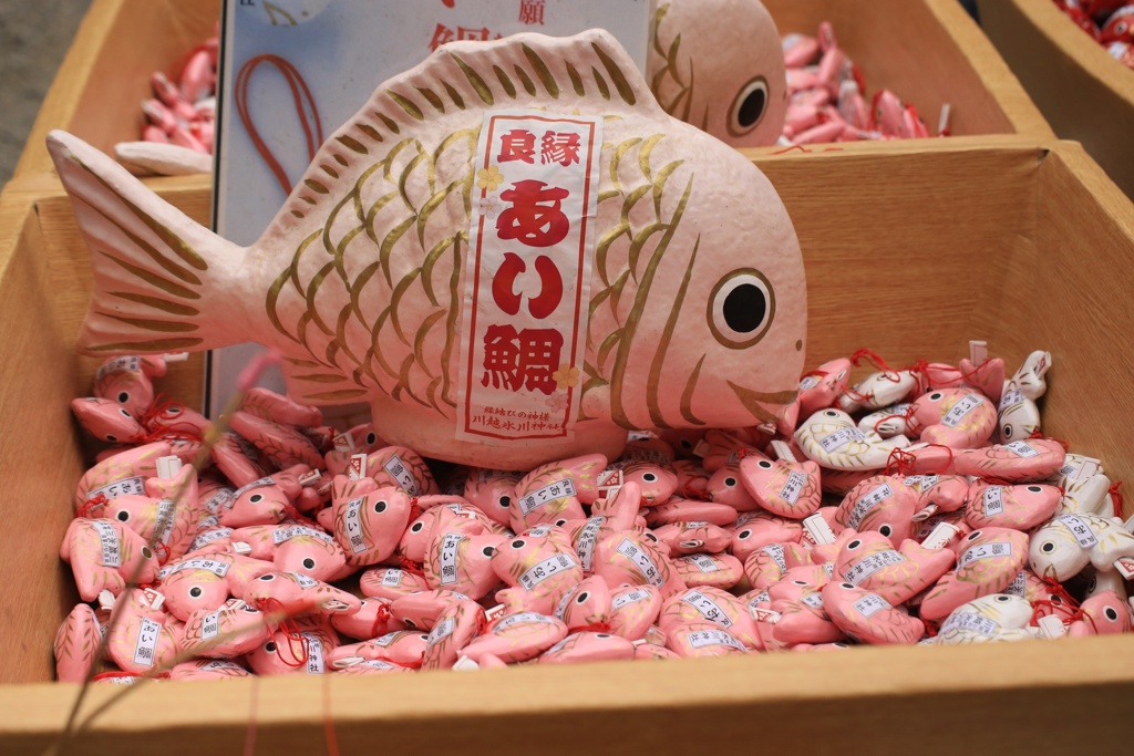 あい鯛