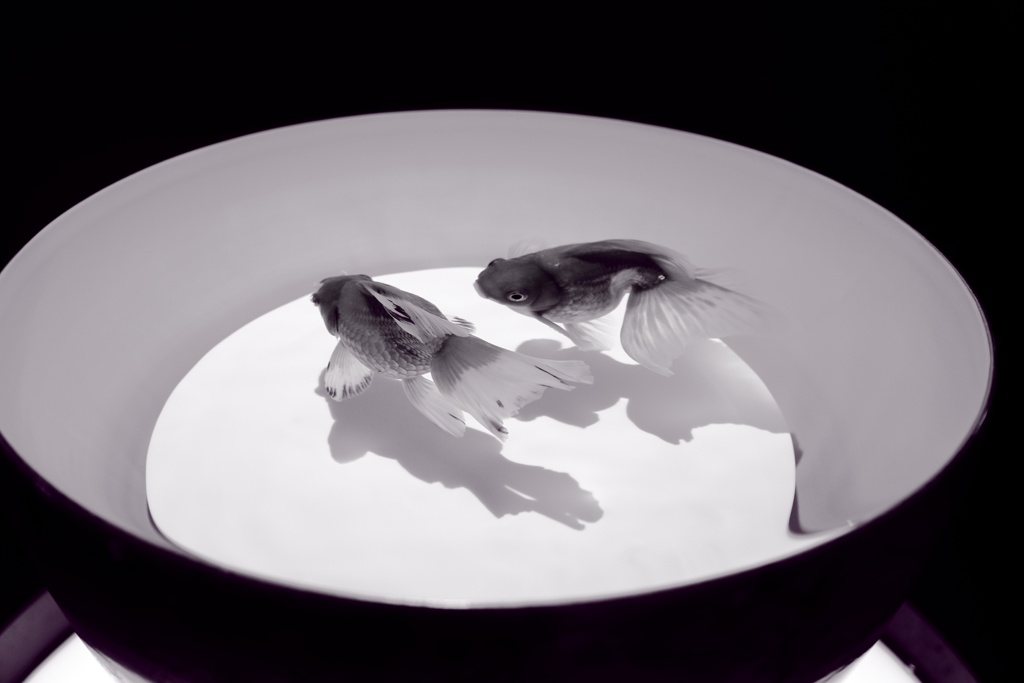 モノクロの世界で