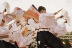 柳＠犬山踊芸祭