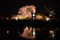 円山公園にて
