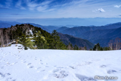 春の山