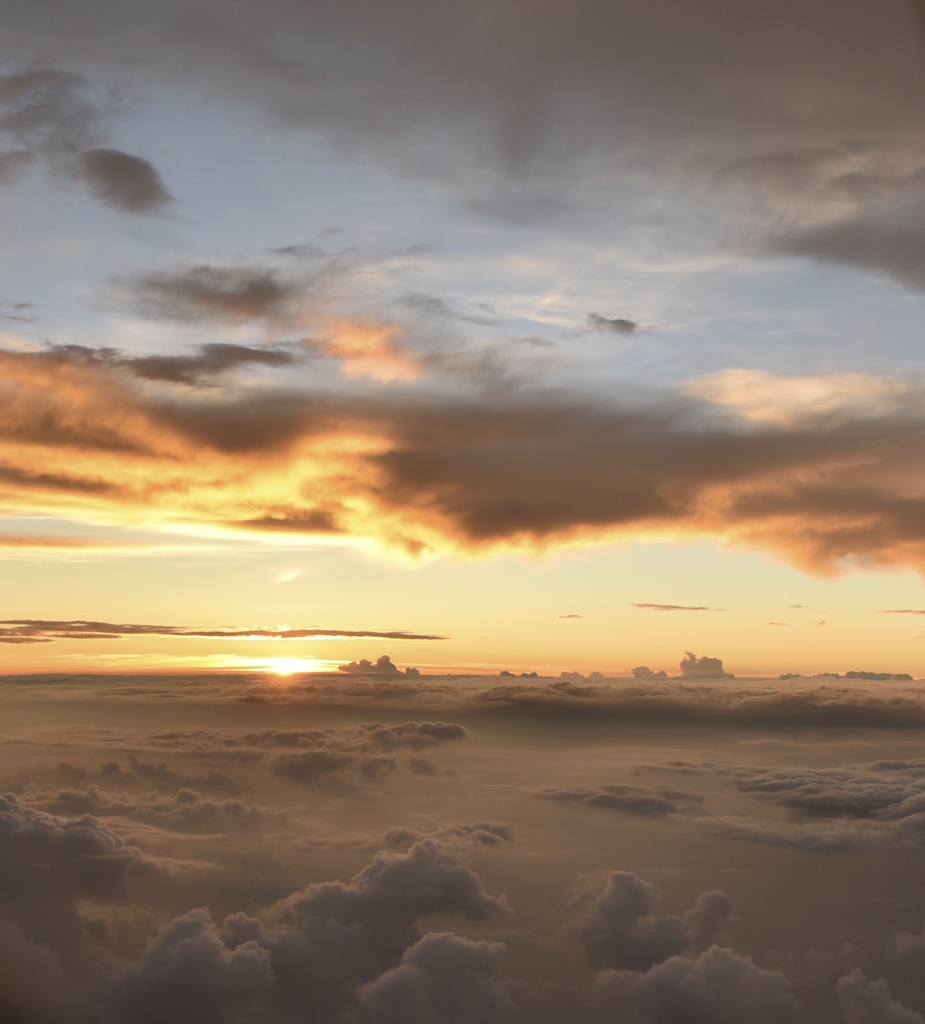 雲の上の空の上　大阪上空でとうとう夕焼け