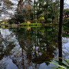富士の霊水_湧玉池
