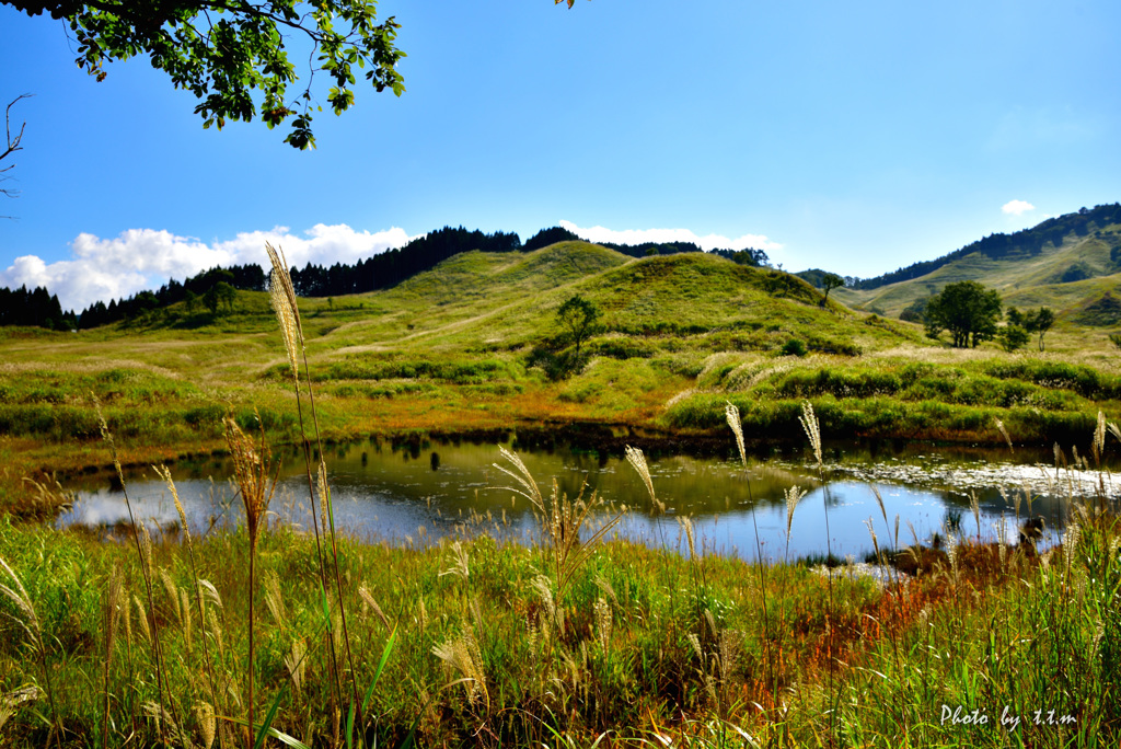 砥峰高原にて