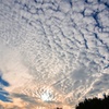 長居公園_もうすぐサンセットうろこ雲