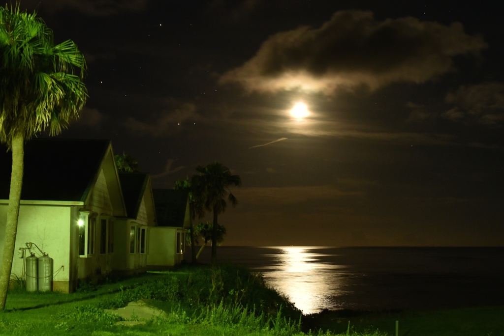 島の月夜