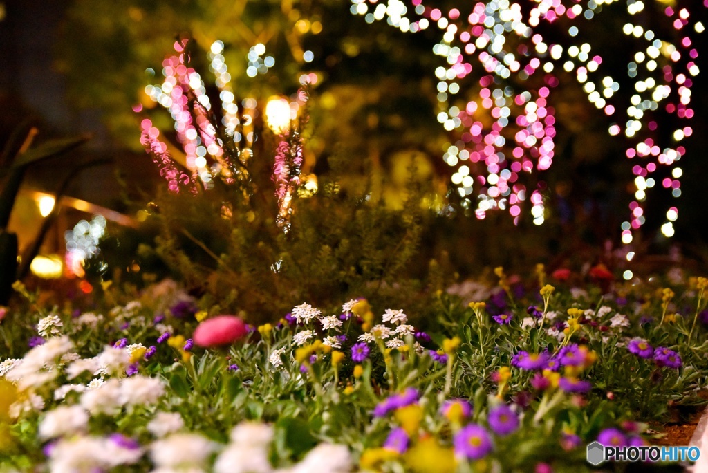 PARKS_Garden