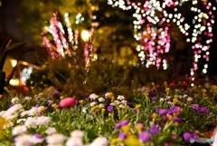 PARKS_Garden