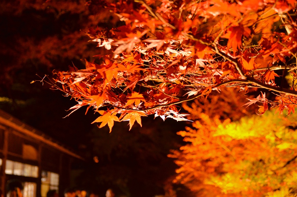 石山RED