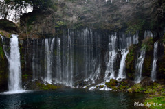 富士の霊水_白糸の滝