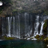 富士の霊水_白糸の滝