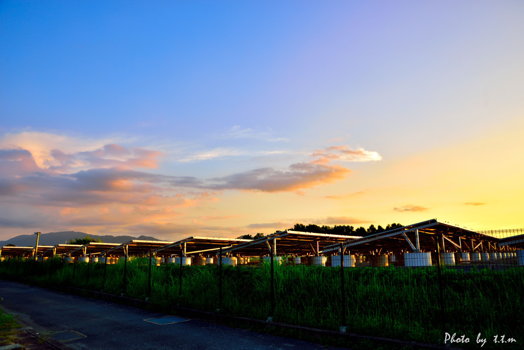 晩夏の空