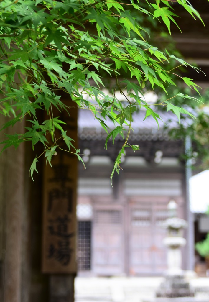 仏通寺２