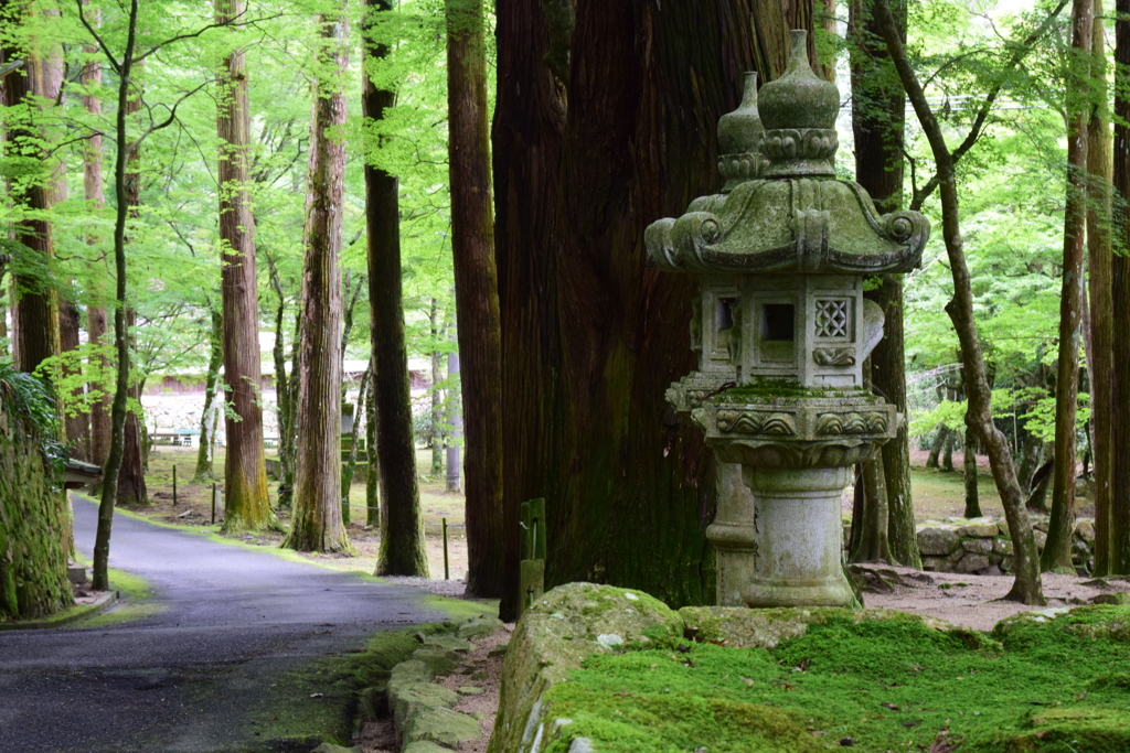 紅葉前の仏通寺