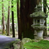 紅葉前の仏通寺