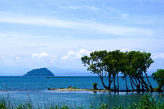 初夏の琵琶湖