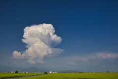 ふるさとの夏空