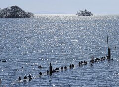 お気に入りの休息場所