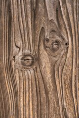 木目の表情