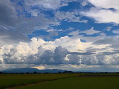 夏雲