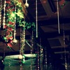 Holly Night