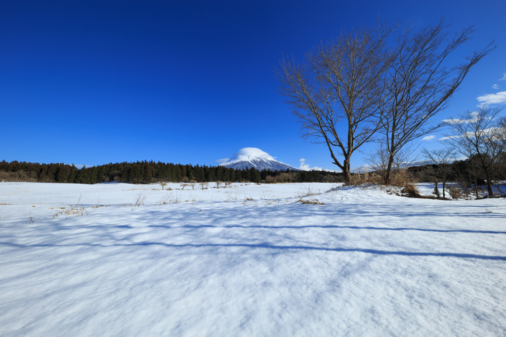 富士山と雪原