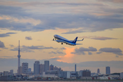 東京の空を往く