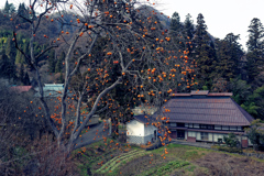 日本原風景