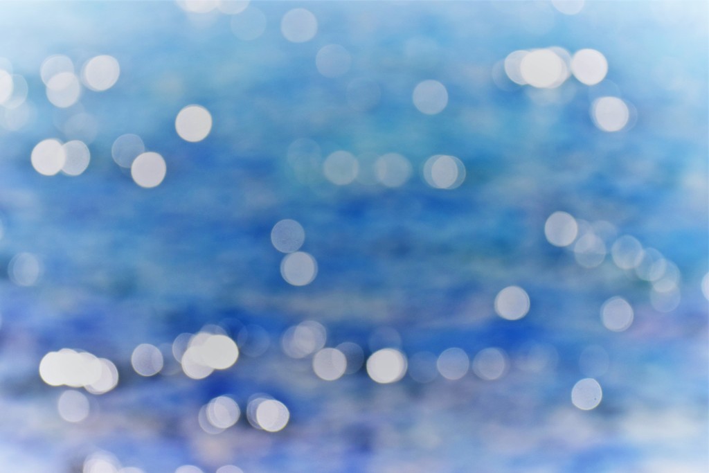 海
