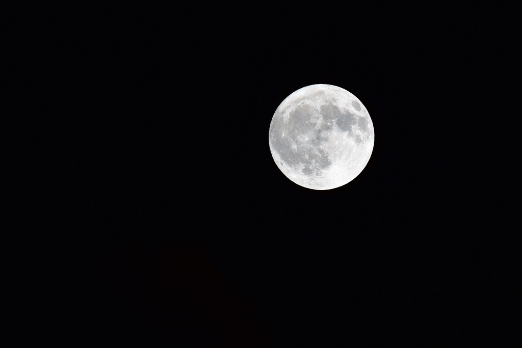 十六夜