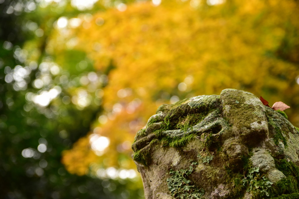 池姫神社にて