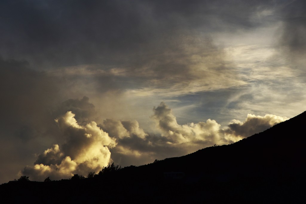 雨の予感・・・