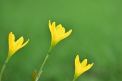 ９月になって…
