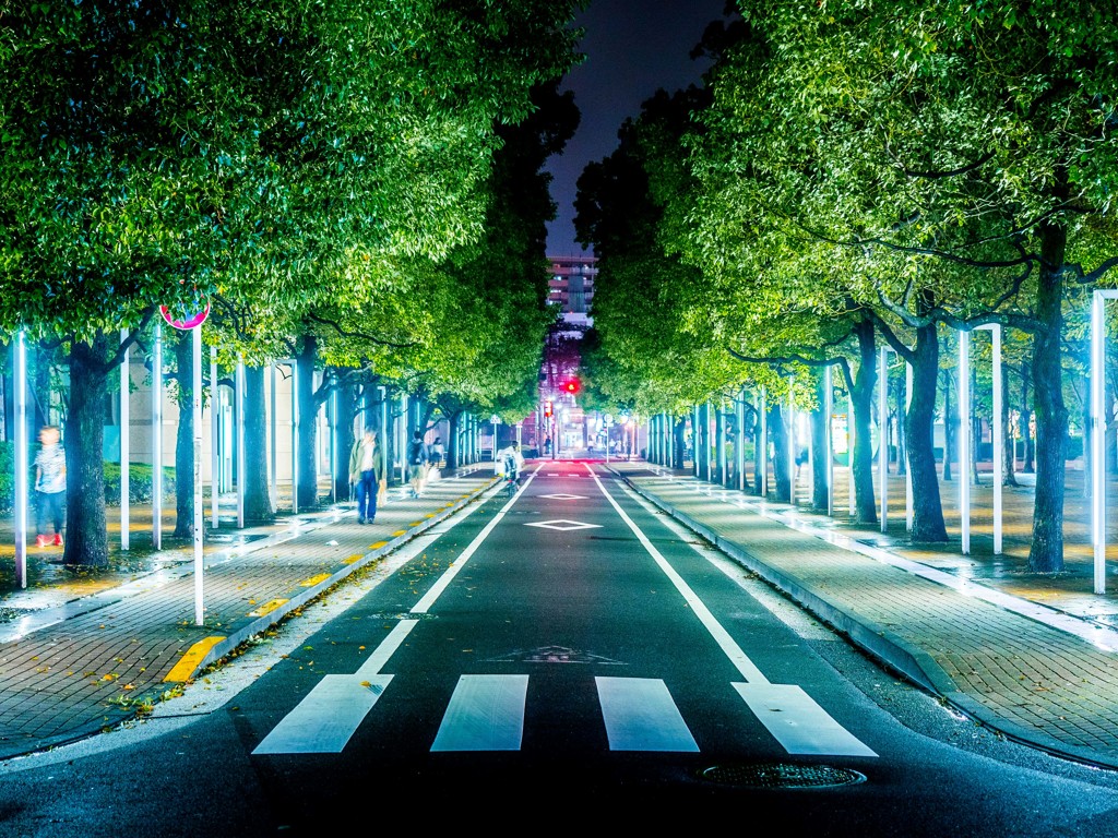 大森ベルポート横の並木道の夜景