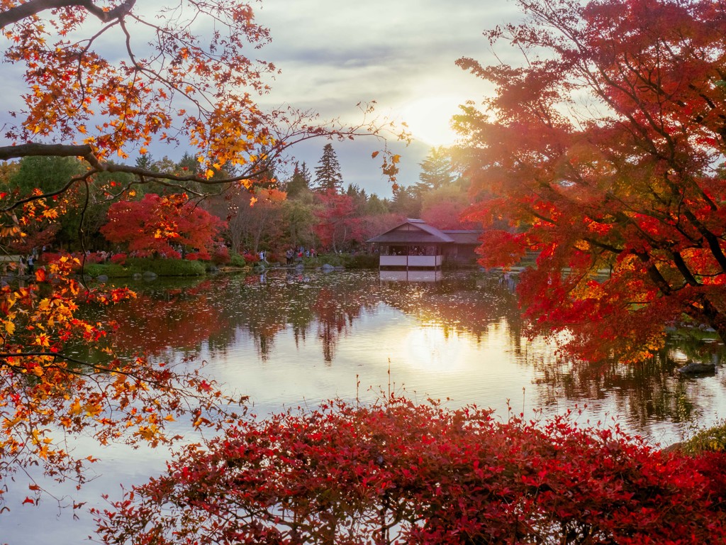 昭和記念公園・紅葉の日本庭園の夕景