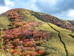 箱根外輪山（明神ヶ岳）の笹原と紅葉