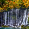 紅葉の富士宮・白糸の滝