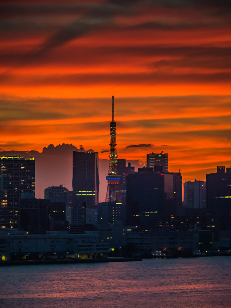 妖々しく空を染める夕焼けに覆われた東京タワーと芝浦方面の高層ビル群