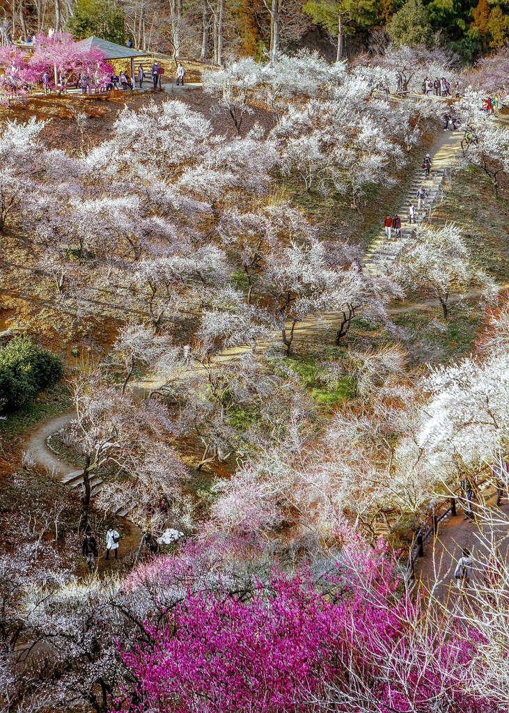 在りし日の光景