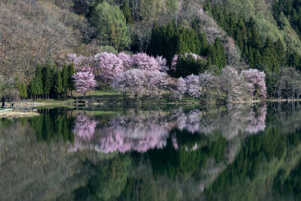 中綱湖